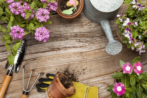 Professional lawn mowing service in Croydon
