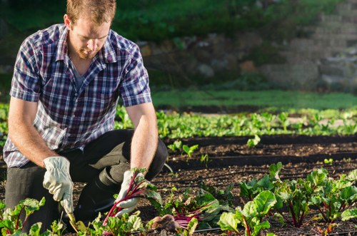 Gardener working in a Croydon garden with tools