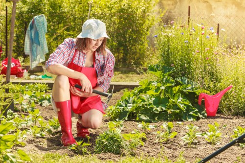 Essential tools for garden maintenance in Croydon