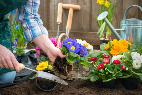 Gardener assessing Croydon's climate for garden care