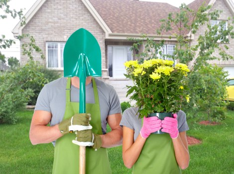 Professional garden maintenance services in Croydon