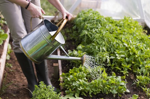 Choosing the right lawn mower for your Croydon lawn