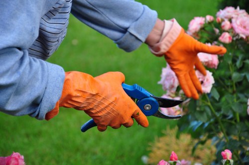 Professional gardener working on garden maintenance in Croydon